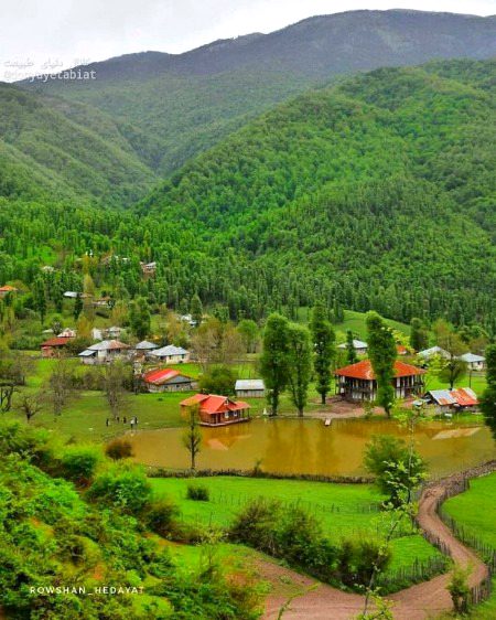 Beautiful Nature image