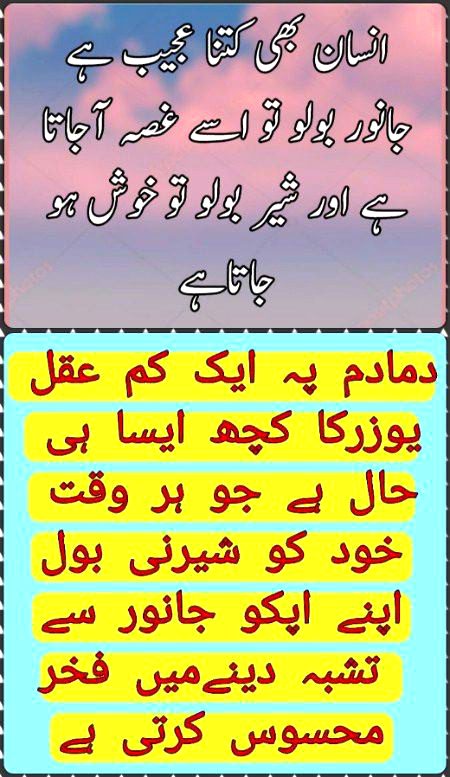 Damadam Roasting image