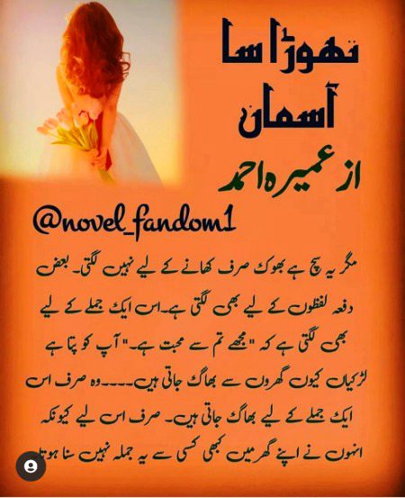 Suspense Novels image