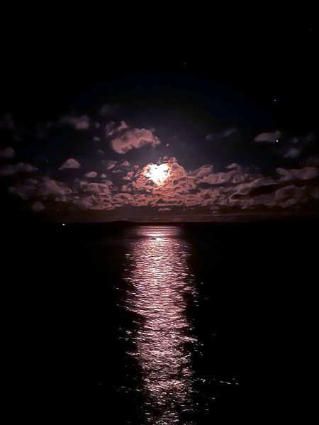 Beautiful Nature image