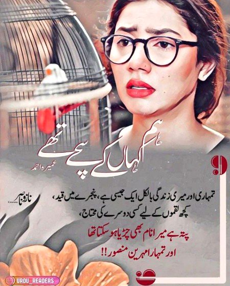 Suspense Novels image