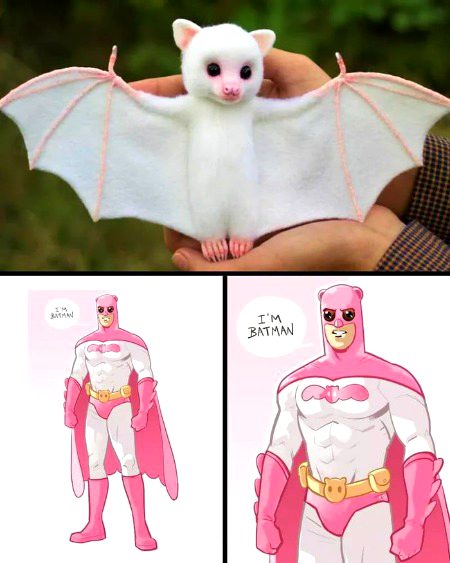 Memes & Satire image