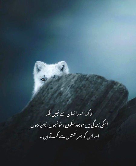 Life Advice image
