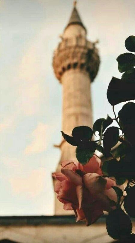 Beautiful Structures image