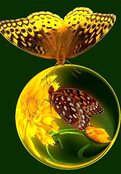 Digital Art image