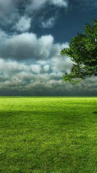 Beautiful Nature image