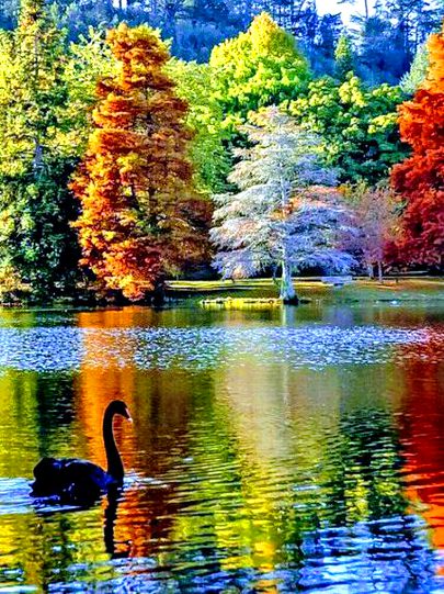 Beautiful Nature image