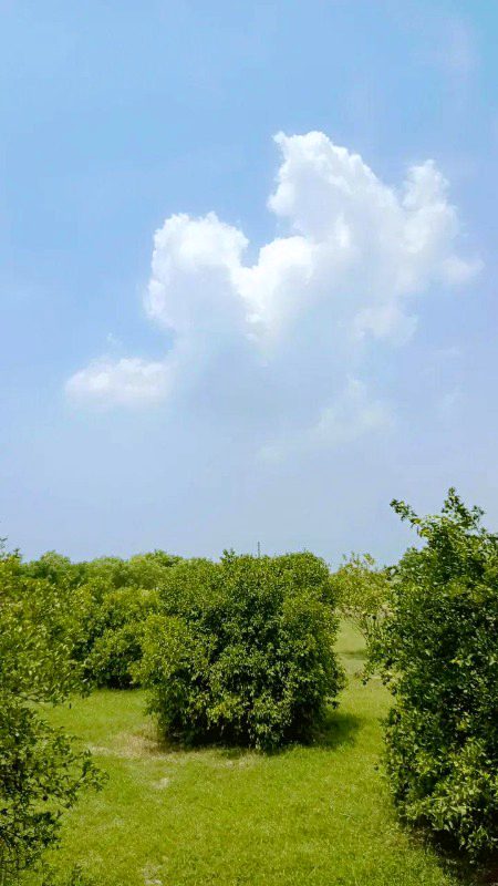 Beautiful Nature image