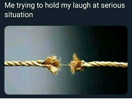 Memes & Satire image