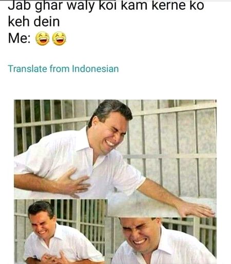 Memes & Satire image