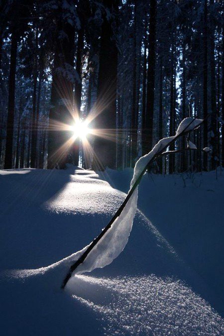 Beautiful Nature image