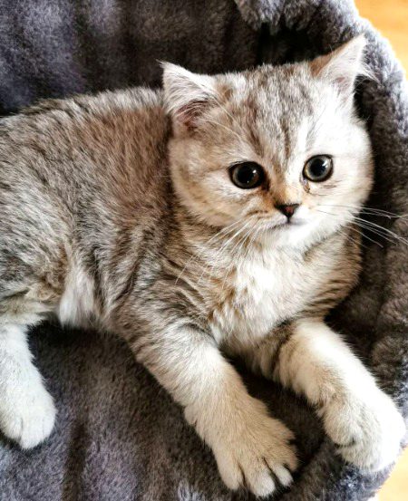 Beautiful Nature🔥