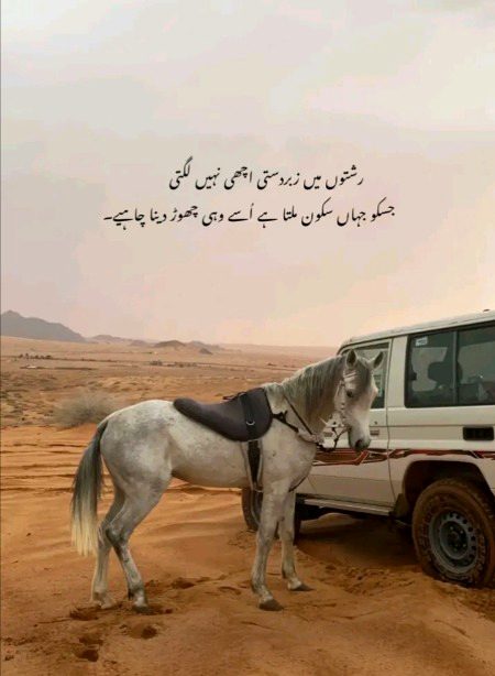 by nayab