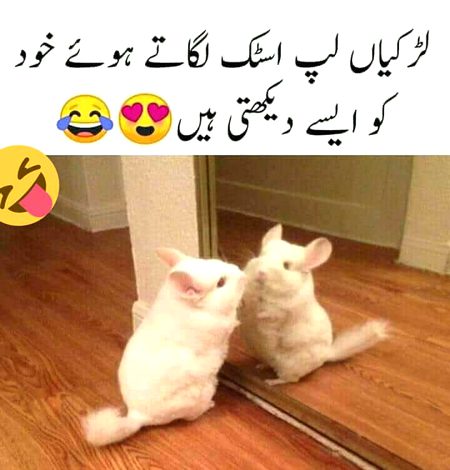 Jokes image