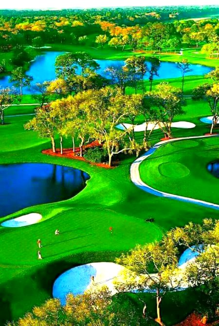 BEAUTIFUL NATURE