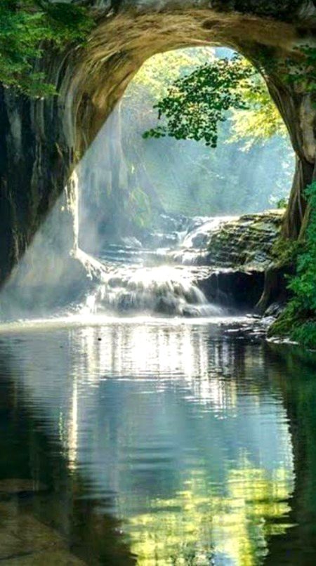 Beautiful Nature image