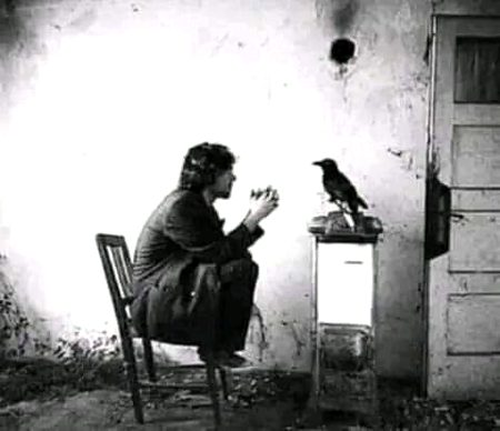 چل چار دیہاڑے زندگی دے
تو مرضیاں کر ساڈا رب وارث
🖤🍂