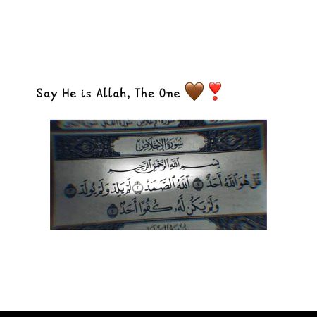 ѕнαнzαιв, Indeed