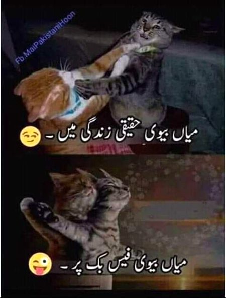 Jokes image