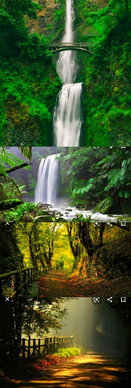 Beautiful Nature image