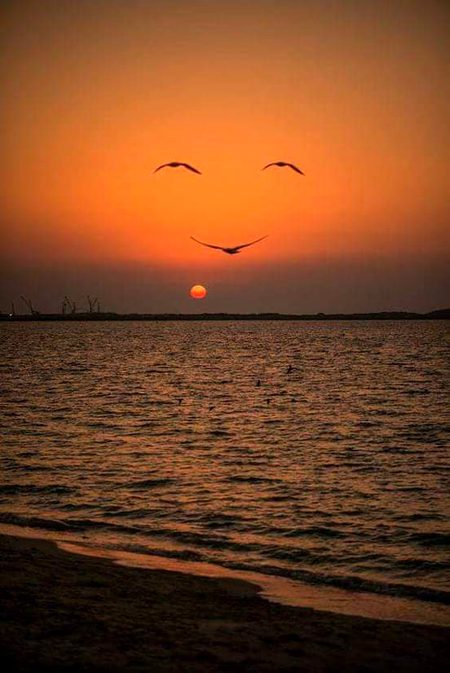 Beautiful Nature image