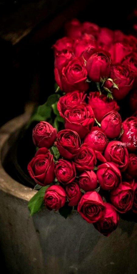 Beautiful Nature image