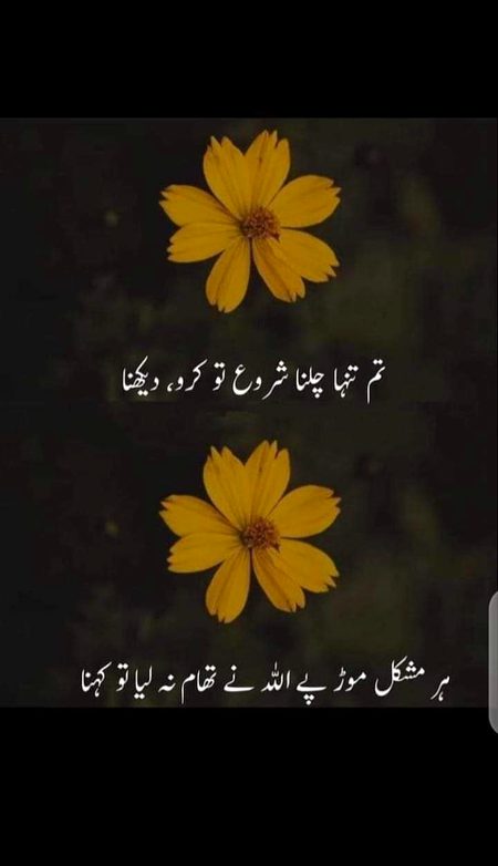 Beshak