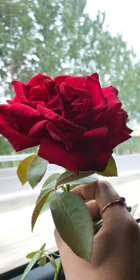 " کبھی کبھی الفاظ نہیں ہوتے کیفیت کو بیان کرنے کے لِیے ، اور پھر دِل کرتا ہے کہ ؛ کوئی سُن لے ، سمبھال لے ، اور بس سمیٹ لے ہمیں ۔ "