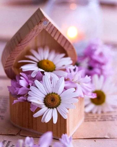 Beautiful Nature image