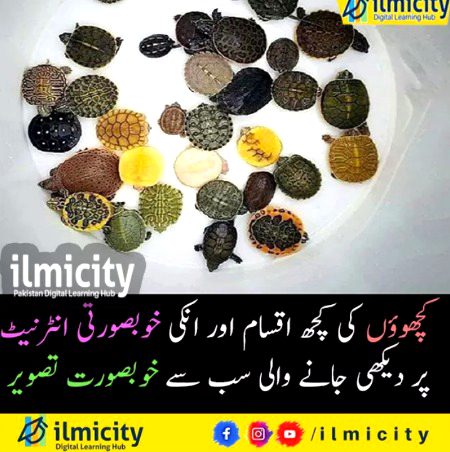 Interesting Posts image