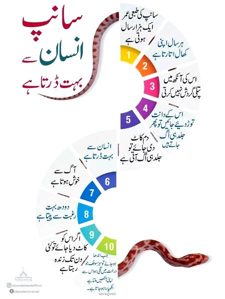 Interesting Posts image