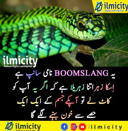 Interesting Posts image