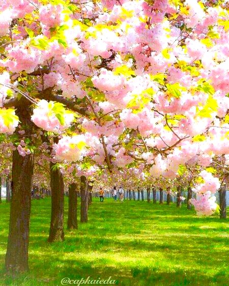 BEAUTIFUL NATURE