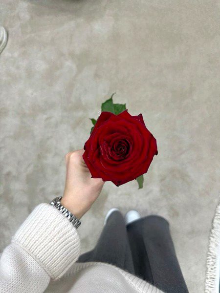 Beautiful Nature image