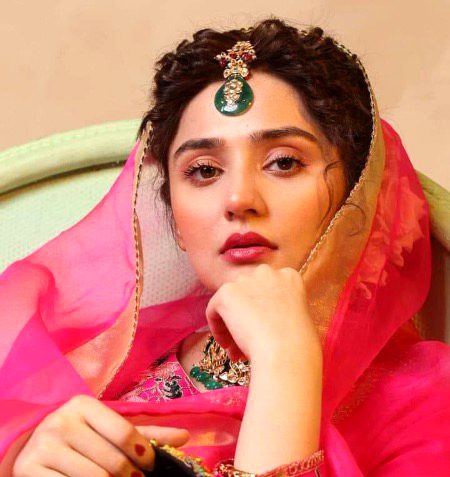 Pakistani Celebs image