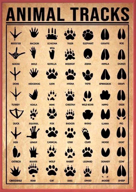 Tips for Students image