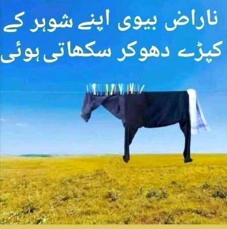 Memes & Satire image