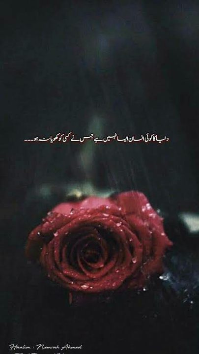 میں اپنے بعد بہت یاد آیا کرتا ہوں٠٠٠
تم اپنے پاس نہ رکھنا کوئی نشانی میری