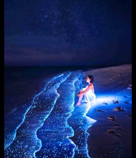 Digital Art image