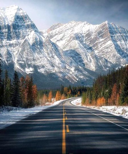 Beautiful Nature image