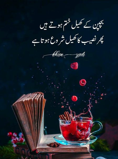 Memes & Satire image