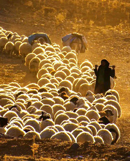 "جہاں موجودگی کا احساس دلانا پڑے وہاں موجود نہ رہیں ہٹ جائیں کنارہ کر لیں."