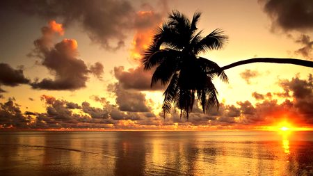 Beautiful Nature image