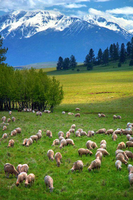 Beautiful Nature image