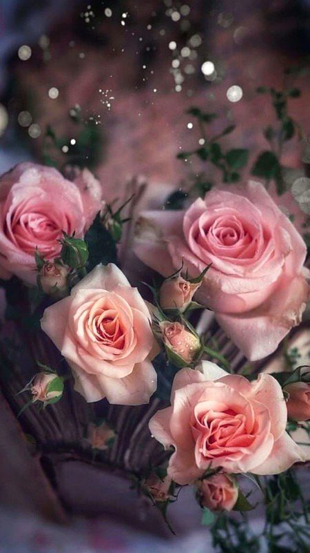 Beautiful Nature image