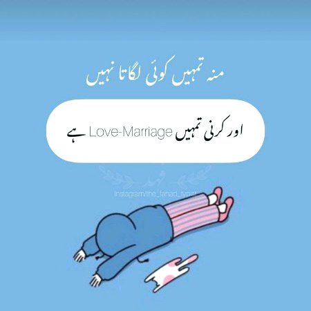 Memes & Satire image