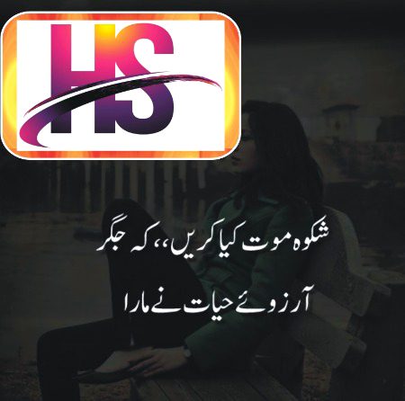 رہنے کو سدا دہر میں آتا نہیں کوئی
تم جیسے گئے ایسے بھی جاتا نہیں کوئی