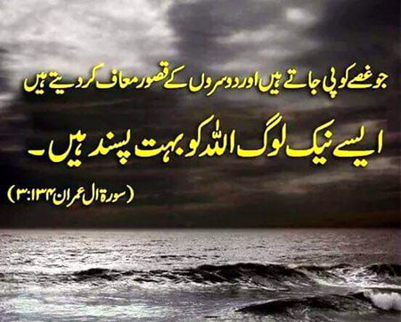Islamic Quotes image