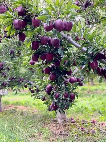 Beautiful Nature image