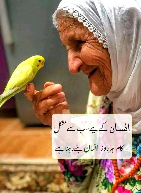 صبح بخیر
